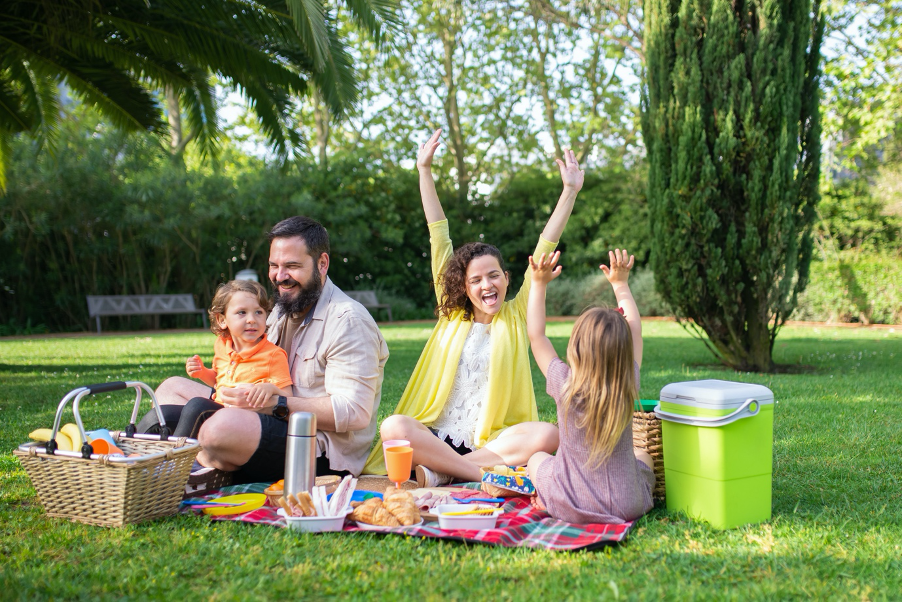 Quality family time - picnic